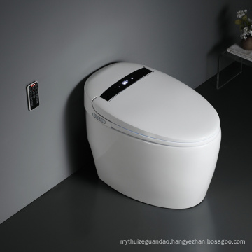 New Automatic Functions Intelligent Electric Toilet